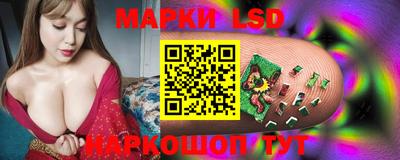 стафф Ярославль