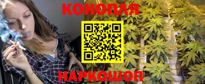 стафф Ярославль