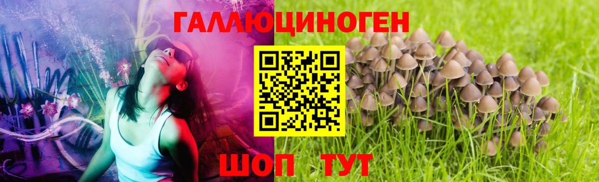 Артём  Галлюциногенные грибы прущие грибы  Вход с VPN  купить наркотик  Галлюциногенные грибы мухоморы 